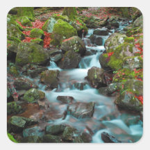 Grand Cascades Tendons Waterfall Stickers