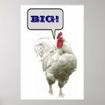 Grand coq affiches