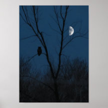 Grand hibou à cornes à l'affiche ou à la copie de 