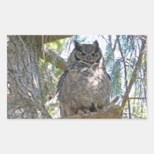 Grand hibou à cornes autocollants rectangulaires