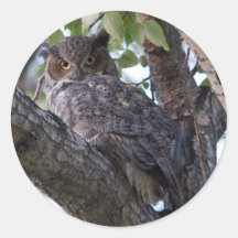 Grand hibou à cornes (foncé) adhésifs ronds