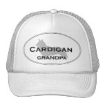 Grand-papa de cardigan casquette de camionneur
