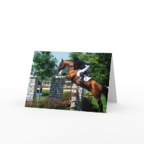 Grand Prix Horse Greeting Cards