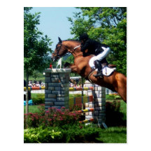 Grand Prix Horse Postcards