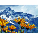 Grand Teton National Park Photo Cutouts