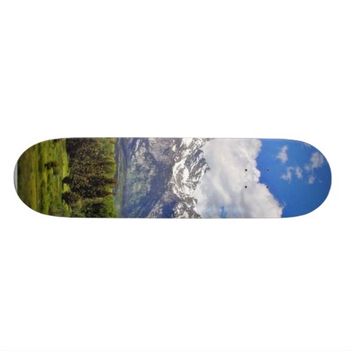 Grand Teton National Park. Skate Boards