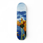 Grand Teton National Park Skateboards