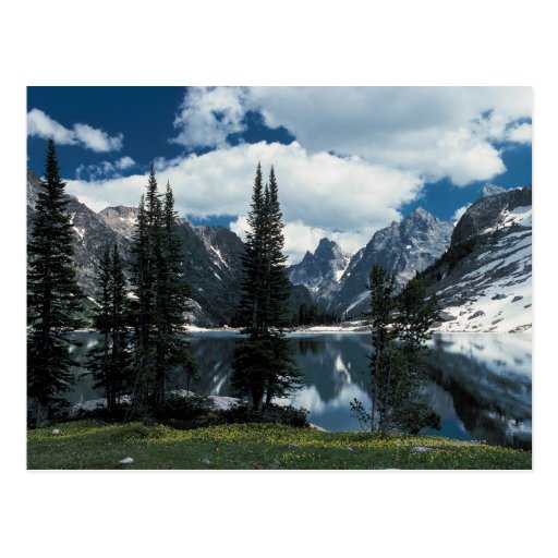 Grand Teton National Park , Wyoming Postcard