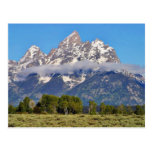 Grand Tetons Peaks In The Morning Postcard