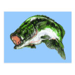 Grande basse de bouche carte postale