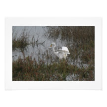 Grande copie de photographie d'oiseau de héron
