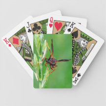 Grandes cartes de jeu effrayantes de guêpe