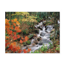 Grandfather Mountain Falls Post Cards