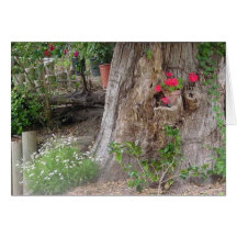 grandfather's garden II Greeting Card