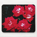 Grandiflora 'Love' Yellow flowers Mousepads