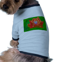 Grandiflora Rose 'Love' White flowers Dog Clothes