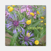 Grandma Fridge Magnets