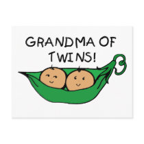 Grandma of Twins Pod Post Card