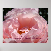Grandma's Rose Garden art prints Pink Rose Flowers