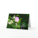 Grandmother Card, Grandmother's Day Card