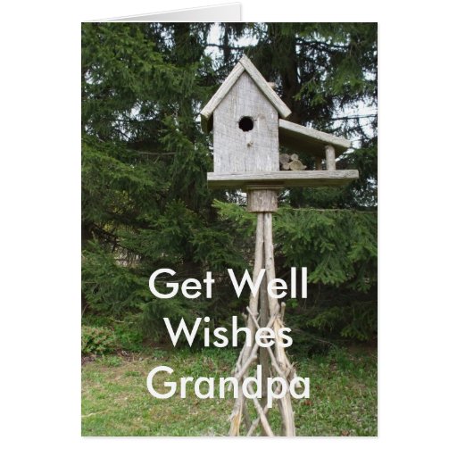 Grandpa Get Well Wishes-tall bird house Cards
