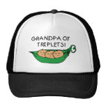 Grandpa of Triplets Pod Mesh Hats