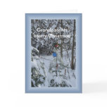 Grandparents Merry Christmas Framed Greeting Card