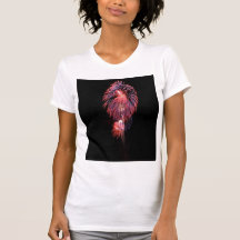 Grands feux d'artifice t-shirts