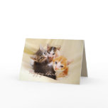 Grandson Happy Birthday Trio of Kittens Cards