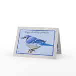 Grandson's Birthday Card with Blue Jay Bird