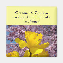 Granma & Grandpa eat Strawberry Shortcake Dinner Magnet