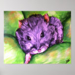 Granny the Grey Hamster Fine Art Prints