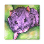 Granny the Grey Hamster Magnets