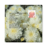 Granny's Chocolate Chip Cookies Recipe magnet
