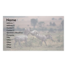 Grant's Zebra - Fighting Business Cards
