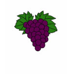 Grape Fruits of the Spirit T-shirt