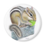 Grape Gourmet Refrigerator Magnets