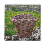 Grape harvest fridge magnet