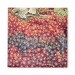 Grape Harvest Magnet