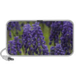Grape Hyacinth Bulbs Portable Speakers