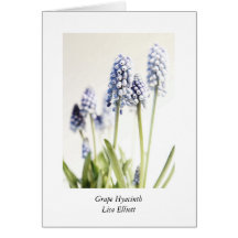 Grape Hyacinth Card