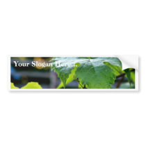Grape Leaf Leaves Green Bumper Sticker