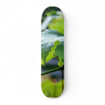 Grape Leaf Leaves Green Skateboards