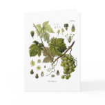 Grape vine greeting card