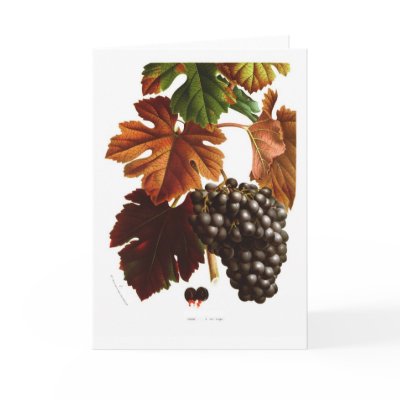 Grape vine card by Botany_Boy