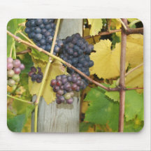 Grape vine mouse pads