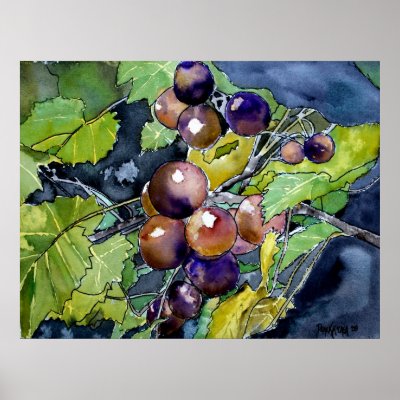 grape vine still life fruit art painting poster by dereklovessheila