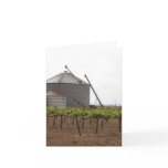 Grape Vines Growing at McConnell Estates Winery Cards