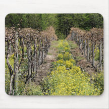 Grape Vines in Spring Mousepad