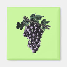 Grape Vines Refrigerator Magnet